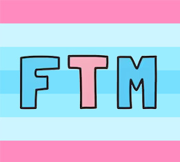 Tienda Trans FTM